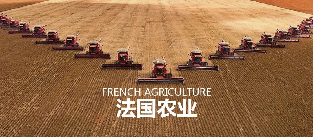 法国农业：欧盟农业大国，靠这6大战略制胜市场